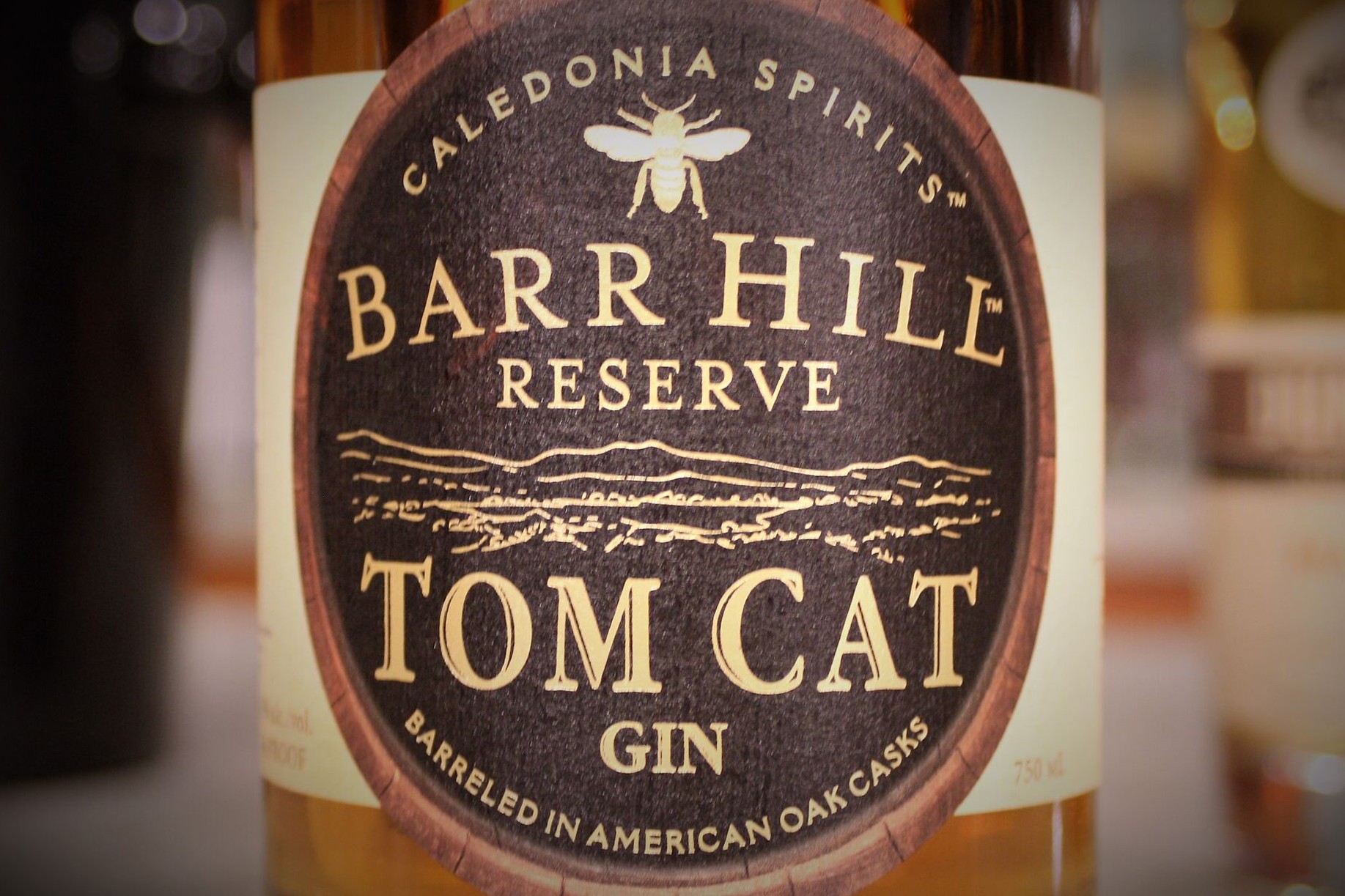 Tom Cat Gin